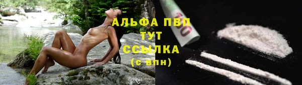 стафф Волосово