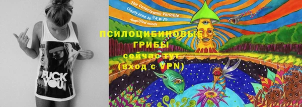 стафф Волосово