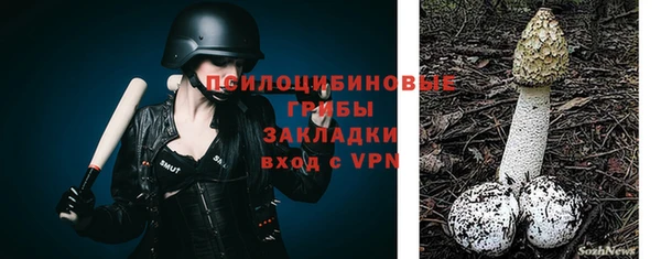 прущий лед Володарск